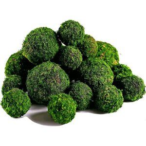 Moss Balls, 18 PCS Decorative Balls for Centerpiece Bowls Natural Dried Balls
